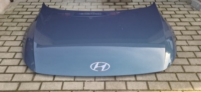 Hyundai ioniq 5 капот 2 кольори фото №1