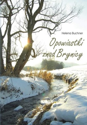 Opowiastki znad Brynicy - ebook