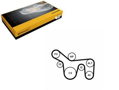 Набор ремни многоручейковых с ролики ford focus i tourneo connect фото №1