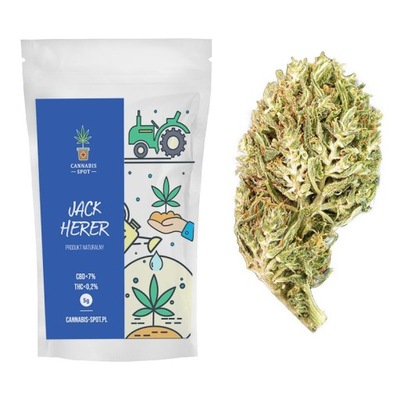 JACK HERER SUSZ KONOPNY CBD