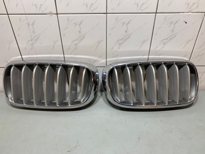 BMW OE 7316076 7316075 nerka grill