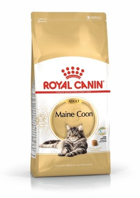 ROYAL CANIN FBN Maine Coon Adult - sucha karma dla dorosłego kota - 10kg