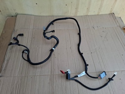 Джгут двигуна opel mokka / mokka x 9841132080 30999981 1.2l бензиновий 2023 фото №1