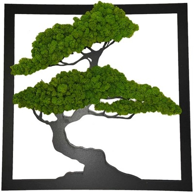 Drzewko Obraz Bonsai Chrobotek 40 cm