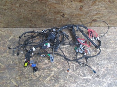 Жгут электропроводка отсек двигателя megane iv 1.2 tce фото №1