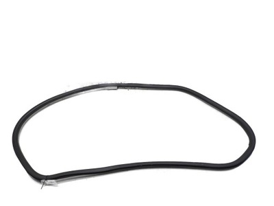 Прокладка двері правий перед renault latitude фото №1