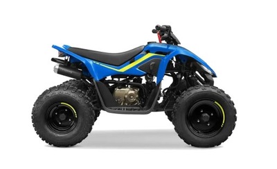 Quad dla dzieci CForce 110