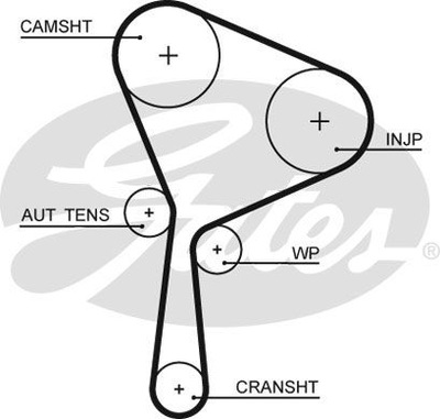 JUEGO DISTRIBUCIÓN RENAULT  