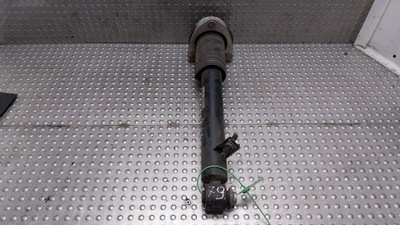 Амортизатор лівий задня 6783017 bmw x6 e71 фото №1