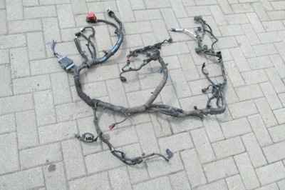 Жгут электропроводка двигателя ecosport 1,5 tdci 2014 фото №1