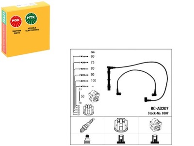 LAIDAI UŽDEGIMO NGK N10190203 