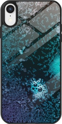 Etui GLASS BUBBLE IPHONE XR