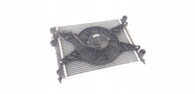 Вентилятор радіатор ligier ambra nova xtoo x too фото №1