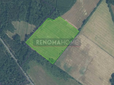 Działka, Prochowice, Prochowice, Legnicki, 57800 m²