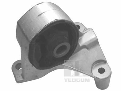 BOLSA DEL MOTOR TEDGUM 00264833  