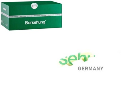 Borsehung b1g012 напрямна направляюча, ланцюг розподільного валу фото №1