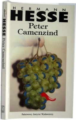 Peter Camenzind Hermann Hesse