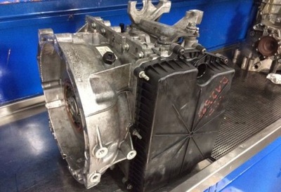 DĖŽĖ DPS6 6DCT450 POWERSHIFT FORD VOLVO JEEP 