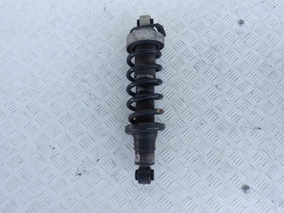 Audi r8 420 12-15 lift амортизатор задня правий фото №1