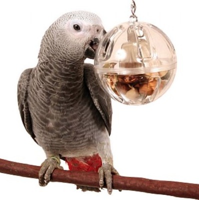 Zabawka dla papug Bufet w piłce z dzwonkiem