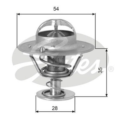 TERMOSTATAS HYUNDAI,FORD,VW,KIA 