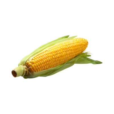 Nasiona do siewu kukurydzy CS SOREMI FAO 240 50tys