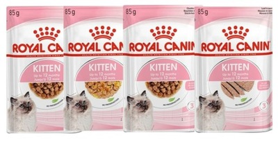 Mokra karma dla kota Royal Canin 0,34 kg