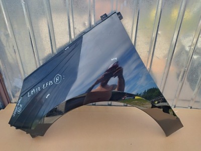 Крыло левый перед renault grand scenic iii 3 lift 2012-2016 цвет tegne фото №1