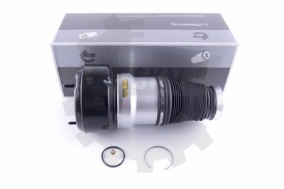 Esen skv 58skv038 подушка повітряна, підвіска фото №1