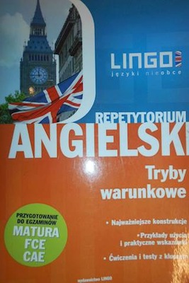 Angielski repetytorium. Tryby warunkowe - Treger