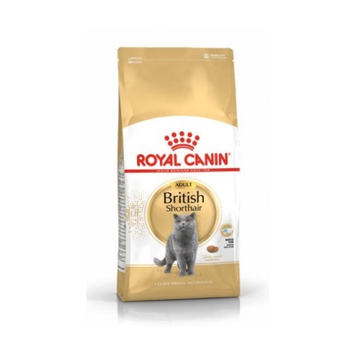 ROYAL CANIN British Shorthair 10kg Karma Sucha Kot