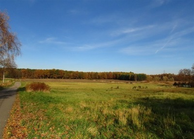 Działka, Chełm Śląski, Chełm Śląski, Bieruńsko, 1254 m²