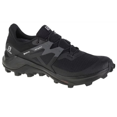 Buty do biegania Salomon Wildcross 2 GTX M 414554 40 2/3