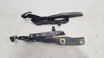 Ford f250 петлі капот комплект фото №1