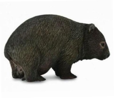 Wombat