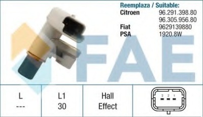 SENSOR POSICIÓN ROLLO DISTRIBUCIÓN CITROEN  