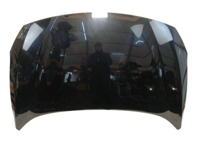 Капот renault fluence рестайлинг  lak: tegne 13-16 фото №1