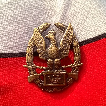 Wzorowy Żołnierz odznaka Wojska Polskiego