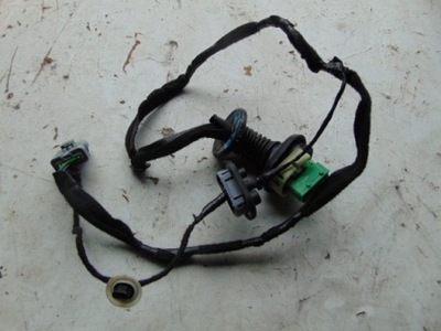 Электропроводка жгут дверь левый задняя citroen ds4 фото №1