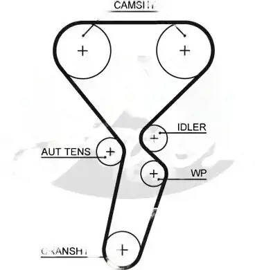 Набор распределительного вала + насос водяная kp35501xs gates фото №1