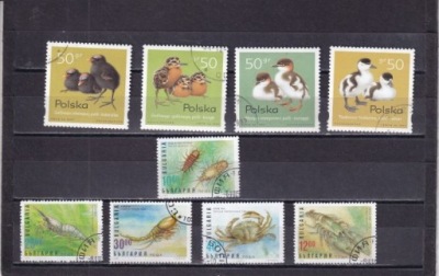 Fauna . 1980 . Bułgaria . Kasow