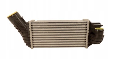 Интеркулер citroen c4 picasso 2.0 hdi 2009 - 2013 фото №1