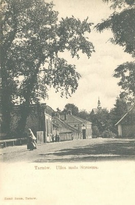 Tarnów ul. Mała Strusina - Reprodukcja 12046