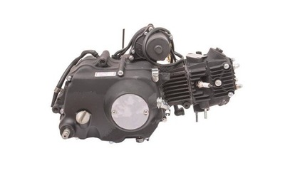 VARIKLIS 139FMB 70CC 72CC 4T HORIZONTALUS RANKINĖ DĖŽĖ : MOTOROWERU 