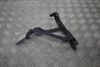 Петля крышки правый задняя fiat 500 abarth lift фото №1