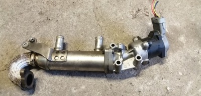 CITROEN C5 2.7 HDI AUŠINTUVĖLIS EGR 4U3Q9Y493AP 