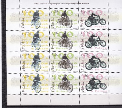 3923-25** 2003r ARKUSZ