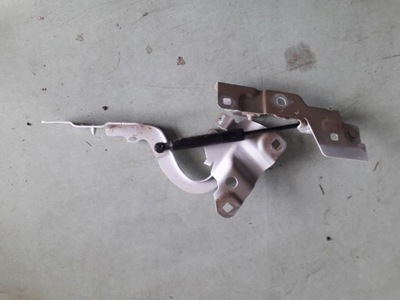 Renault zoe петля капот права фото №1