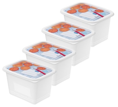 Rotho zestaw pojemników do zamraż. DOMINO 4x 1 l