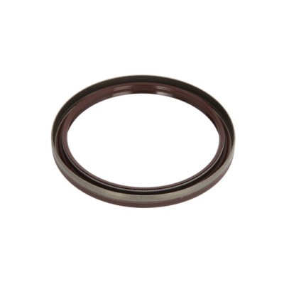 USZCZELNIACZ 100X118X10 419.700